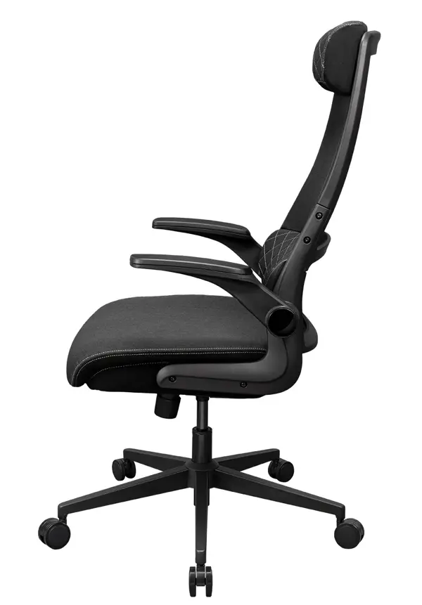 COUGAR STRYDER Ergonomic Gaming Chair  Linen Fabric - Black