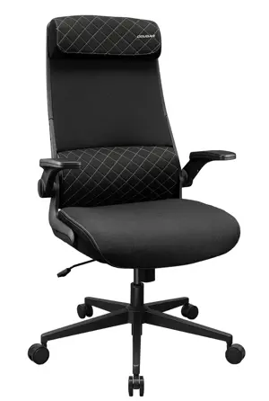 COUGAR STRYDER Ergonomic Gaming Chair  Linen Fabric - Black