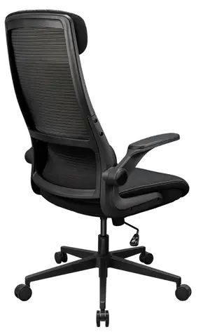 COUGAR STRYDER Ergonomic Gaming Chair  Linen Fabric - Black