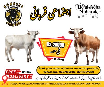 Cow Qurbani Hissa: Book Your Share Online for Eid-ul-Azha