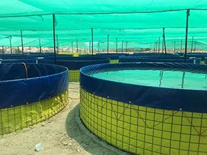 550 GSM Heavy-Duty PVC Coated Biofloc Fish Farming Tank