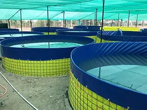 550 GSM Heavy-Duty PVC Coated Biofloc Fish Farming Tank