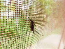 Mosquito & Insect net for windows,Hook sticker to stick to the window frame, which has glue back side to it. It is easy to fix to your Aluminum/Steel frame/Wooden windows,It is flexible, durable, washable, removable, very strong and long lasting.