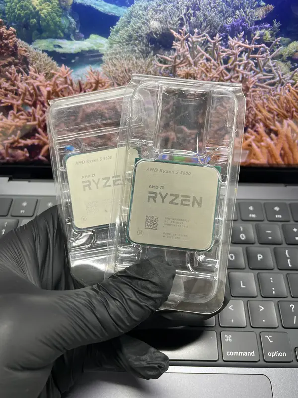 AMD Ryzen 5 5600 6-Core, 12-Thread Unlocked Desktop Processor (Tray)