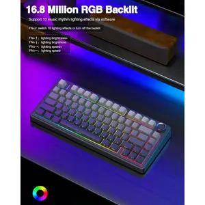 Aula F75 Wireless Mechanical Keyboard, 75% Gasket Hot Swappable Custom Keyboard, RGB Backlit Side Printed PBT Keycaps, 2.4GHz/USB-C/BT5.0 Mechanical Gaming Keyboard (Gradient Gray)