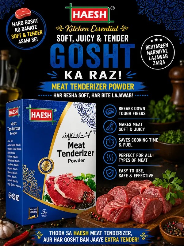Haesh Meat Tenderizer 40g Pack