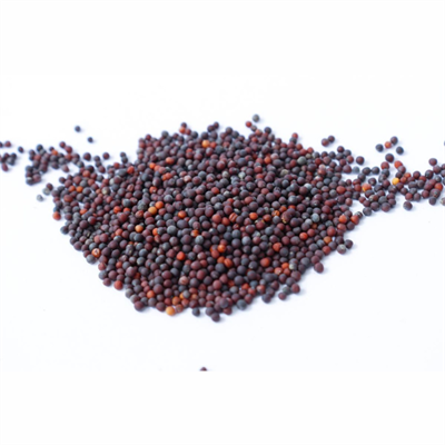 Rai Sabut 100g