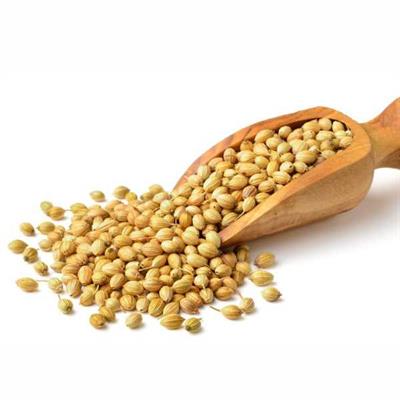 Dhania Sabut / Coriander Whole 250g
