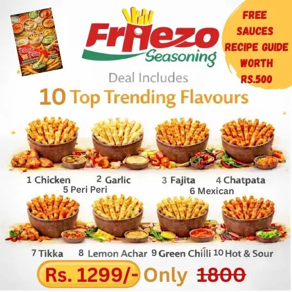 Friezo Seasoning Top 10 Trending French Fries Flavours with Free Sauces Recipe Guide Worth Rs. 500