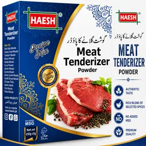 Haesh Meat Tenderizer 40g Pack