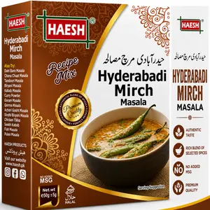 Haesh Hyderabadi Mirch Masala 50g Pack