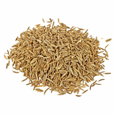 White Zeera / White Cumin