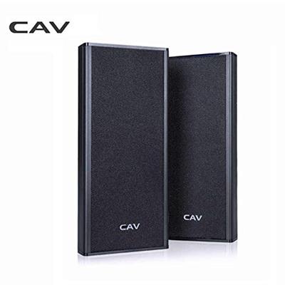CAV AL20 Wall-Mounted Speaker Pair. Home Theater Passive Speaker Easy Setup Mini System AUX Sealed Wall-Surround Speakers.