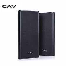 CAV AL20 Wall-Mounted Speaker Pair. Home Theater Passive Speaker Easy Setup Mini System AUX Sealed Wall-Surround Speakers.