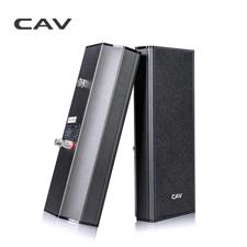 CAV AL20 Wall-Mounted Speaker Pair. Home Theater Passive Speaker Easy Setup Mini System AUX Sealed Wall-Surround Speakers.