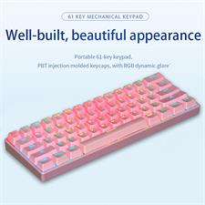 Mechanical Keyboard 60%  BT5.0 & Wired 61 Keys Both Wired/Wireless RGB Backlit, Portable Mini Gaming Keyboard for PC/Mac(Blue Switch,Pink