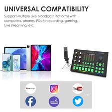 PALOVUE Audio Interface Mixer with Microphone 3.5mm, DSP Chips Digital Mixer with Sound Effects Podcast Equipment for Phone PC Music Recording Live Streaming, iLiving