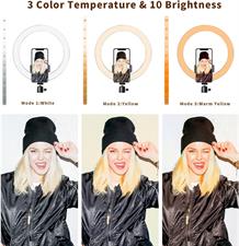 Ring Light 10" with 67" Extended Tripod Stand & Phone Holder for YouTube Video, Camera Led Ring Light for Streaming, Makeup, Selfie Photography Compatible with iPhone Android