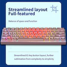 Mechanical Keyboard 60%  BT5.0 & Wired 61 Keys Both Wired/Wireless RGB Backlit, Portable Mini Gaming Keyboard for PC/Mac(Blue Switch,Pink