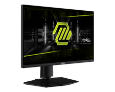 MSI MAG 255PXF Gaming Monitor, 300Hz Refresh Rate, 1080p FHD 25", 0.5ms Response Time, Rapid IPS Panel, Less Blue Light, AI Vision