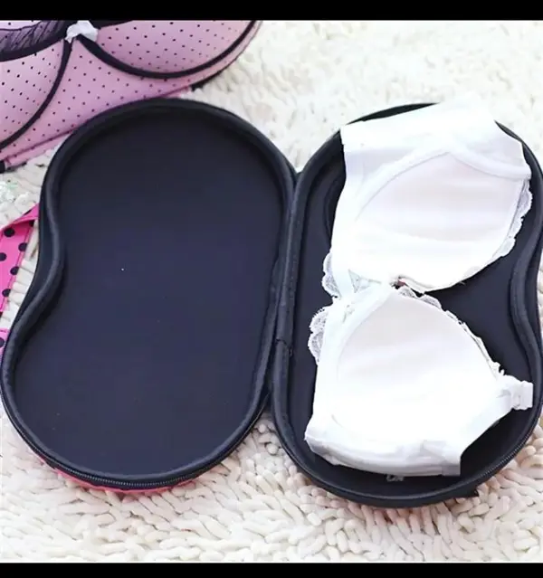 Bra & Underwear Travel Organizer
