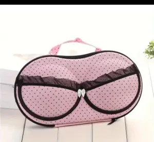 Bra & Underwear Travel Organizer