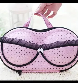Bra & Underwear Travel Organizer