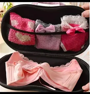 Bra & Underwear Travel Organizer