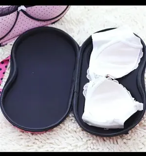 Bra & Underwear Travel Organizer