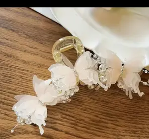 Elegant Butterfly Hair Clip
