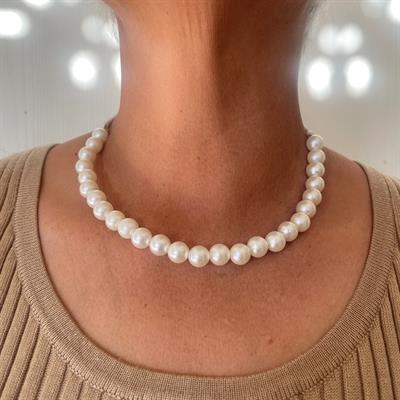 Pearl necklace (HMN043)