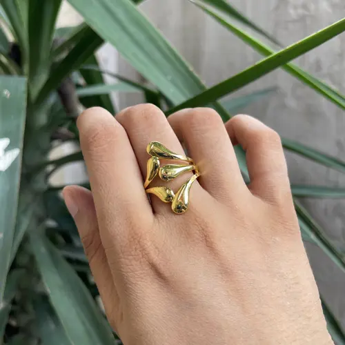Drop ring (SSR006)