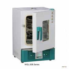 Forced Air Drying Oven (Use for drying, baking, wax, heat treatment)