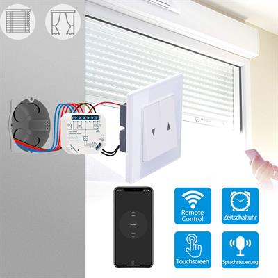 Wifi Motor Reverse /Forward Switch