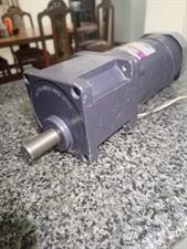 AC 220 Volts High-Torque Gear Motor – Compact & Powerful for Robotics, DIY, and Industrial Use