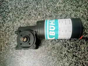 DC 24 VOLTS Worm Gear Motor 