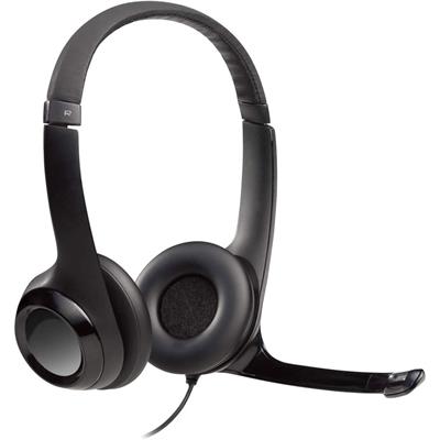Logitech H390 USB Computer Headset.