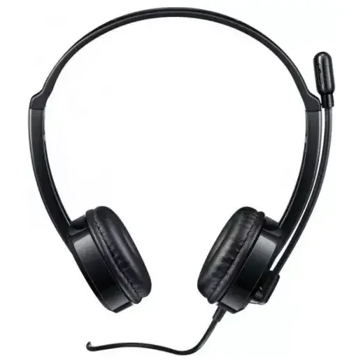 Rapoo H120 USB Stereo Headset, USB Digital Audio, Noise-Reduction Adjustable Rotary Mic, In-Line Controller, Plug-and-Play, Black