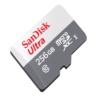 SanDisk Ultra microSDXC UHS-I 256GB Memory Card - SDSQUNR-256G-GN3MN