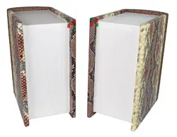 Brown and Tan Snakeskin Pattern Book Shaped Companion Urn for Couple’s Ashes – Dual Chamber Memorial Keepsake for Husband and Wife