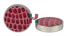 LuxuFaux Leather Maroon Crocodile Backgammon Checkers 44.5x10mm with Silver Metallic Edges & Matching Storage Box
