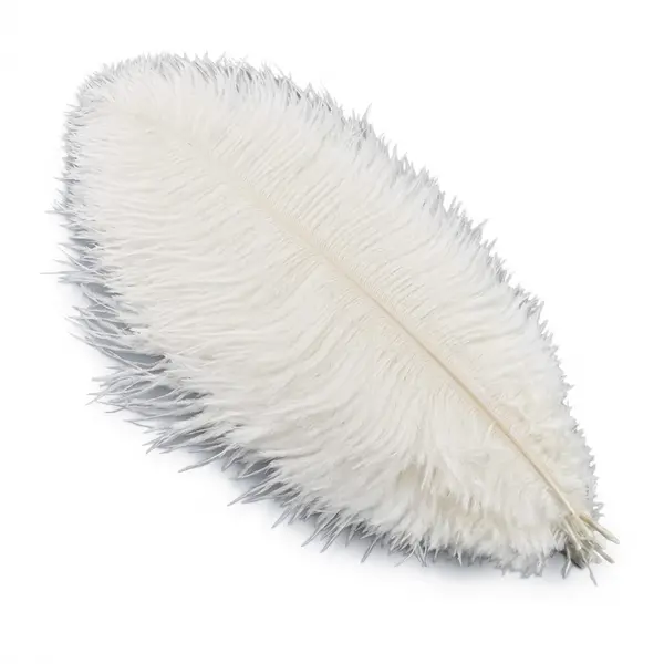 Luxury White Ostrich Plume 22-Inch (Premium Grade)