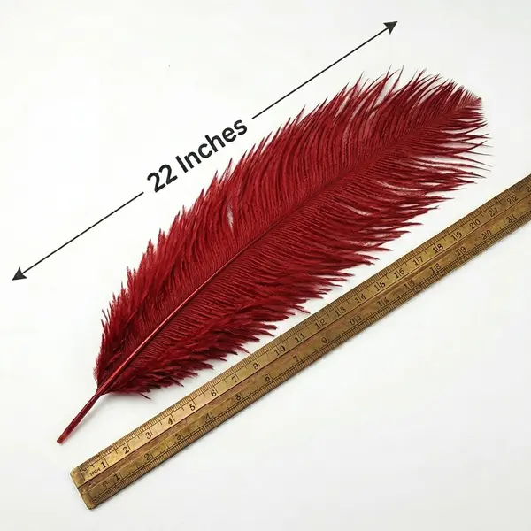 Luxury Red Ostrich Plume 22-Inch (Premium Grade)