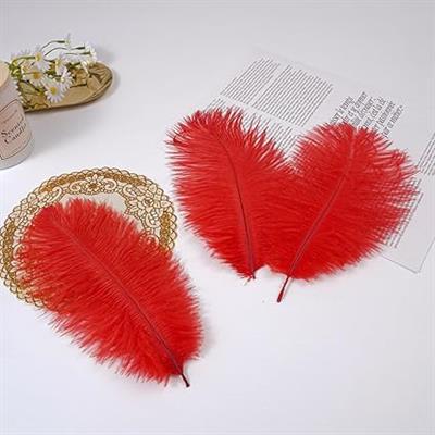 Natural Ostrich Feathers 14-22 inch (35-60cm) - Red
