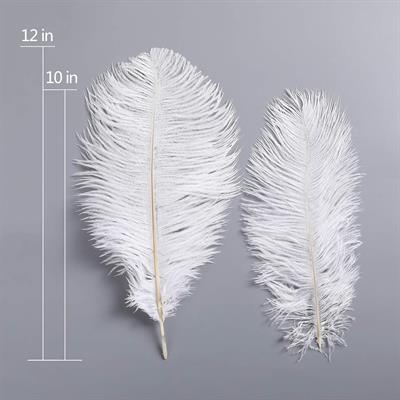 Natural Ostrich Feathers 14-22 inch (35-60cm) - White