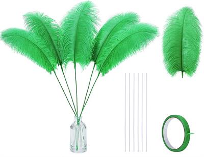 Green  Natural Ostrich Feathers 14-22 inch (35-60cm)