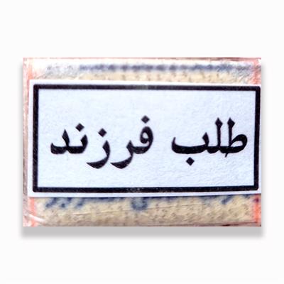 Hirz Talb e Farzand