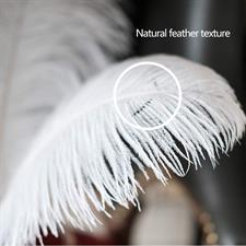 Natural Ostrich Feathers 14-22 inch (35-60cm) - White