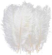 Natural Ostrich Feathers 14-22 inch (35-60cm) - White