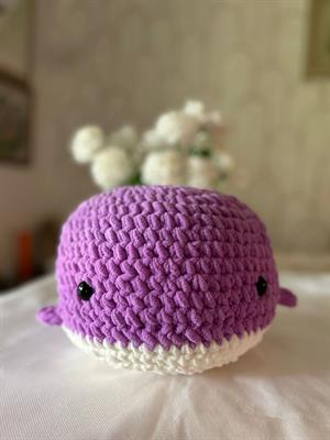 Squishy Little Sea Friend